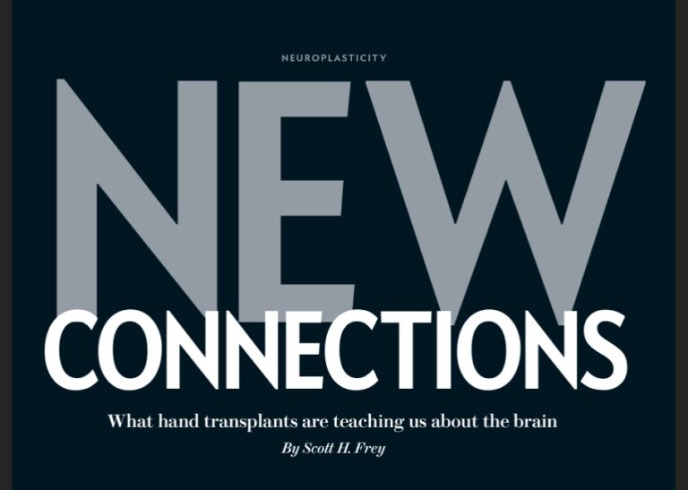 Dr. Scott Frey’s research on brain rewiring and hand transplants, featured in Scientific American.