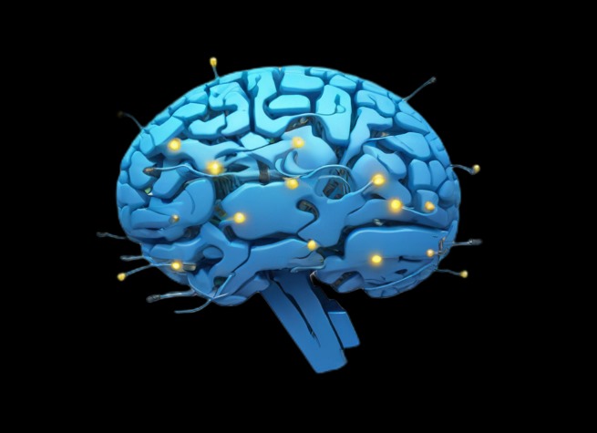 Illustration of the brain's wiring for procrastination, showcasing the neurological battle between immediate rewards and long-term goals.