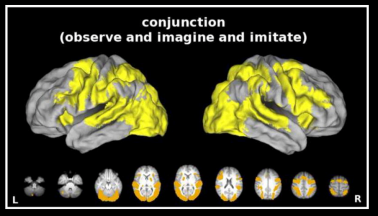 Does imagining involves the same brain circuits as doing?
