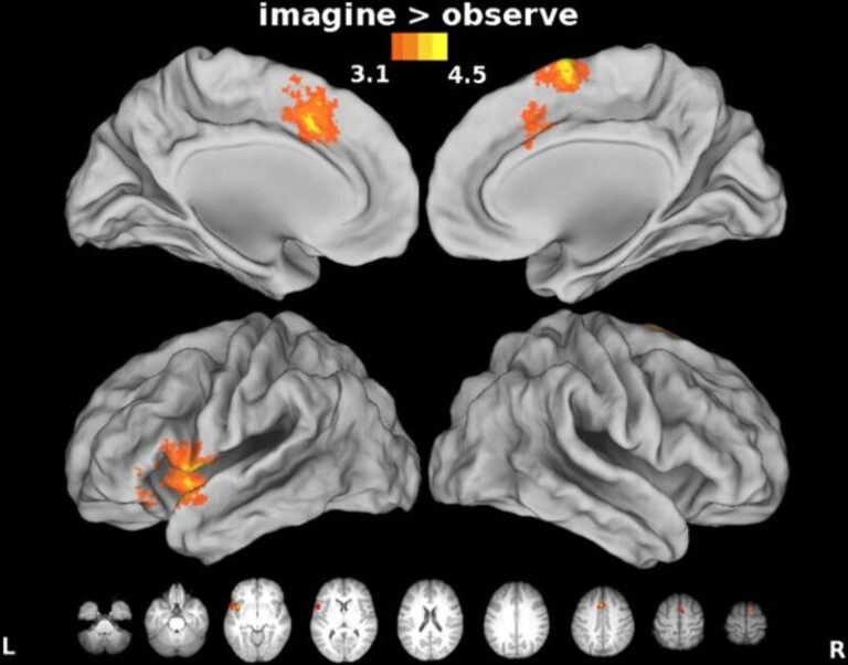 neural pathways overlaid showing how the placebo effect and beliefs influence performance and results.